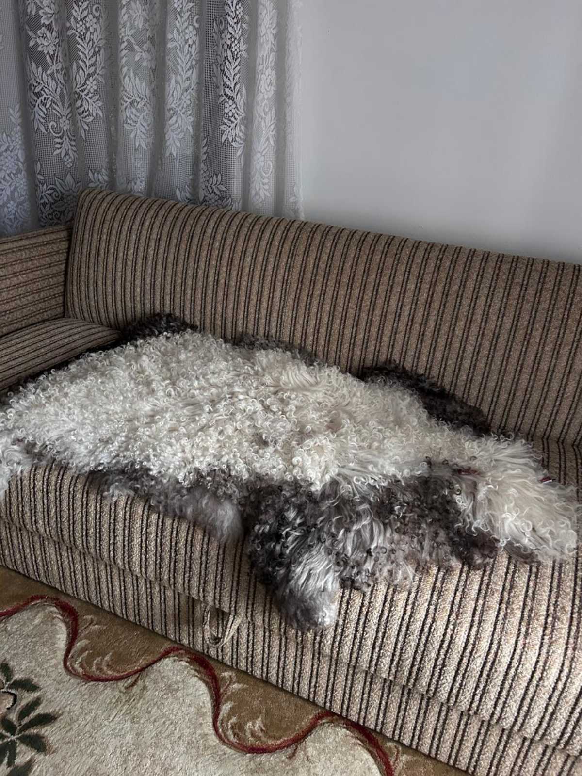 0-02-05-53cbd3e4f17789b92159b70281e124316addd7cc697f411eaa3994b4f4ae6bb7_13ac40edecea6ff0